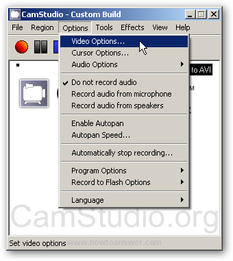 Video Options section in CamStudio